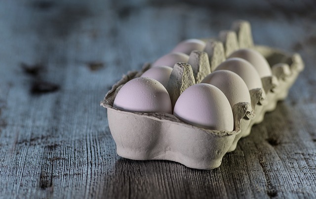 are broiler eggs good for your health or not?